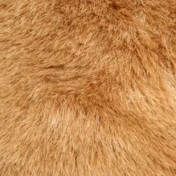 depositphotos_2060085-stock-photo-brown-fur-background-texture (1)